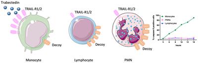 Effects of the Anti-Tumor Agents Trabectedin and Lurbinectedin on Immune Cells of the Tumor Microenvironment